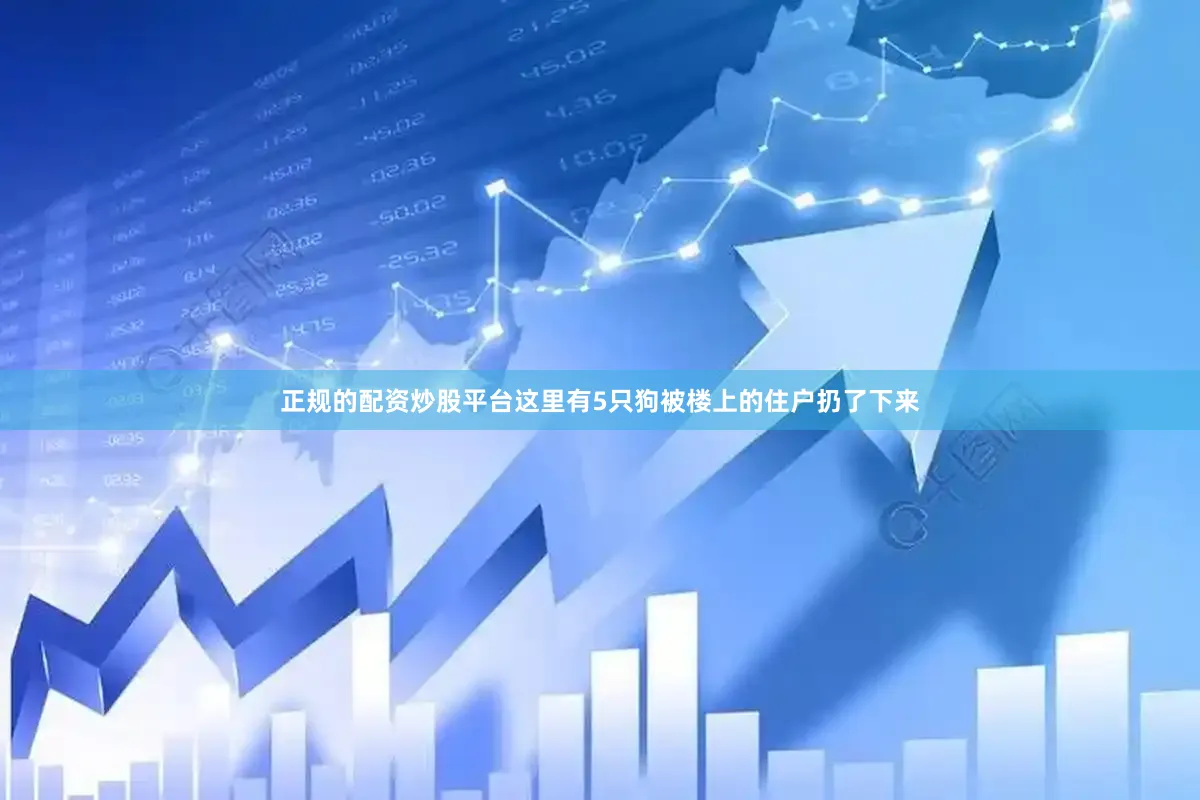 正规的配资炒股平台这里有5只狗被楼上的住户扔了下来