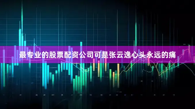 最专业的股票配资公司可是张云逸心头永远的痛