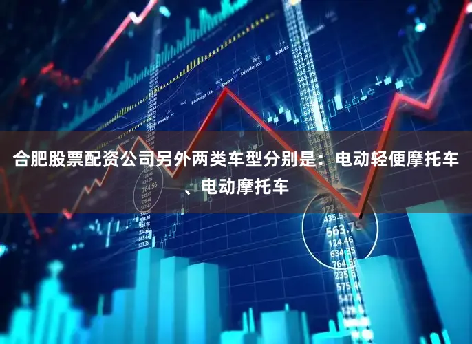 合肥股票配资公司另外两类车型分别是：电动轻便摩托车、电动摩托车
