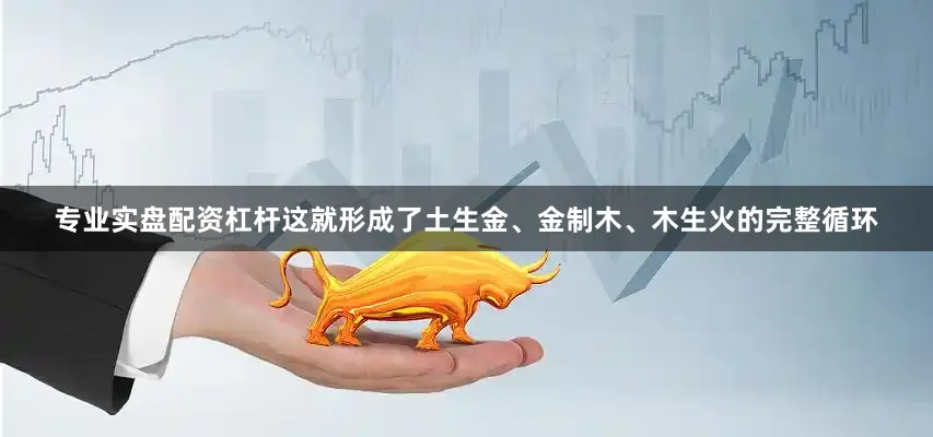 专业实盘配资杠杆这就形成了土生金、金制木、木生火的完整循环