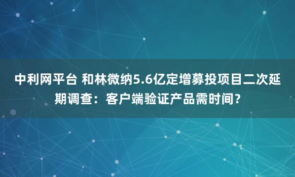 中利网平台 和林微纳5.6亿定增募投项目二次延期调查：客户端验证产品需时间？