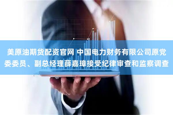 美原油期货配资官网 中国电力财务有限公司原党委委员、副总经理薛嘉璋接受纪律审查和监察调查
