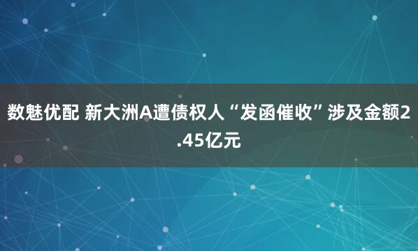 数魅优配 新大洲A遭债权人“发函催收”涉及金额2.45亿元