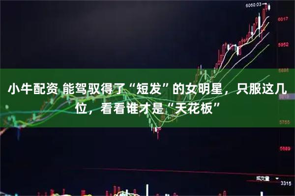 小牛配资 能驾驭得了“短发”的女明星，只服这几位，看看谁才是“天花板”
